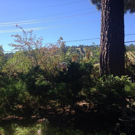 Switzerland Haus Bed And Breakfast Inn Big Bear Lake Bagian luar foto