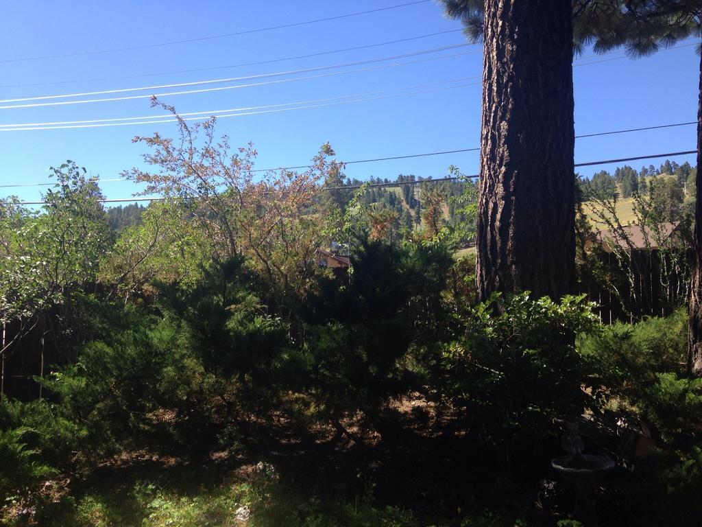 Switzerland Haus Bed And Breakfast Inn Big Bear Lake Bagian luar foto